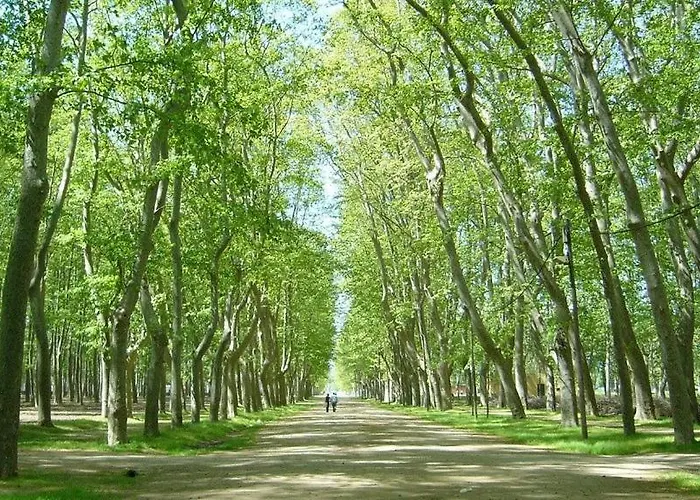 דירה Piso Centrico De 3 Con Terraza Y Vistas