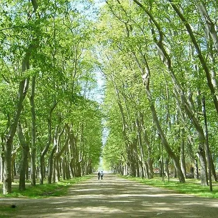 Apartment Piso Centrico De 3 Con Terraza Y Vistas