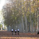 Turistic - Piso De 1, 2 O 3 Apartamento